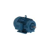 WEG MOTOR