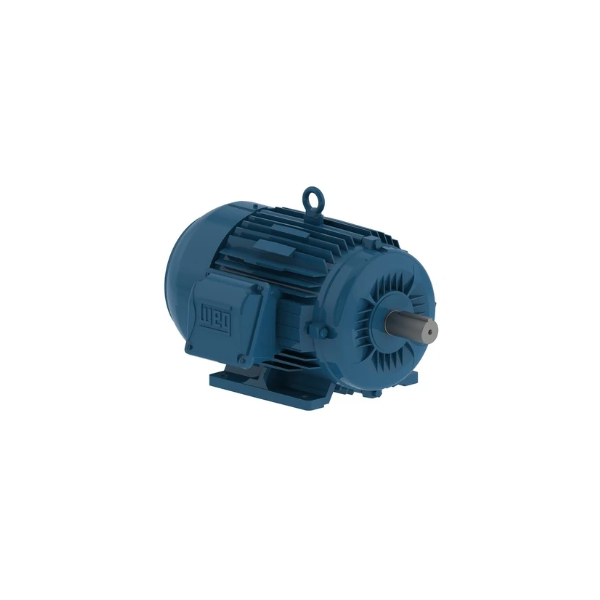 General Purpose Motor - 5 hp, 1800 rpm, 3 ph, 190/380//208-230/460 V ...